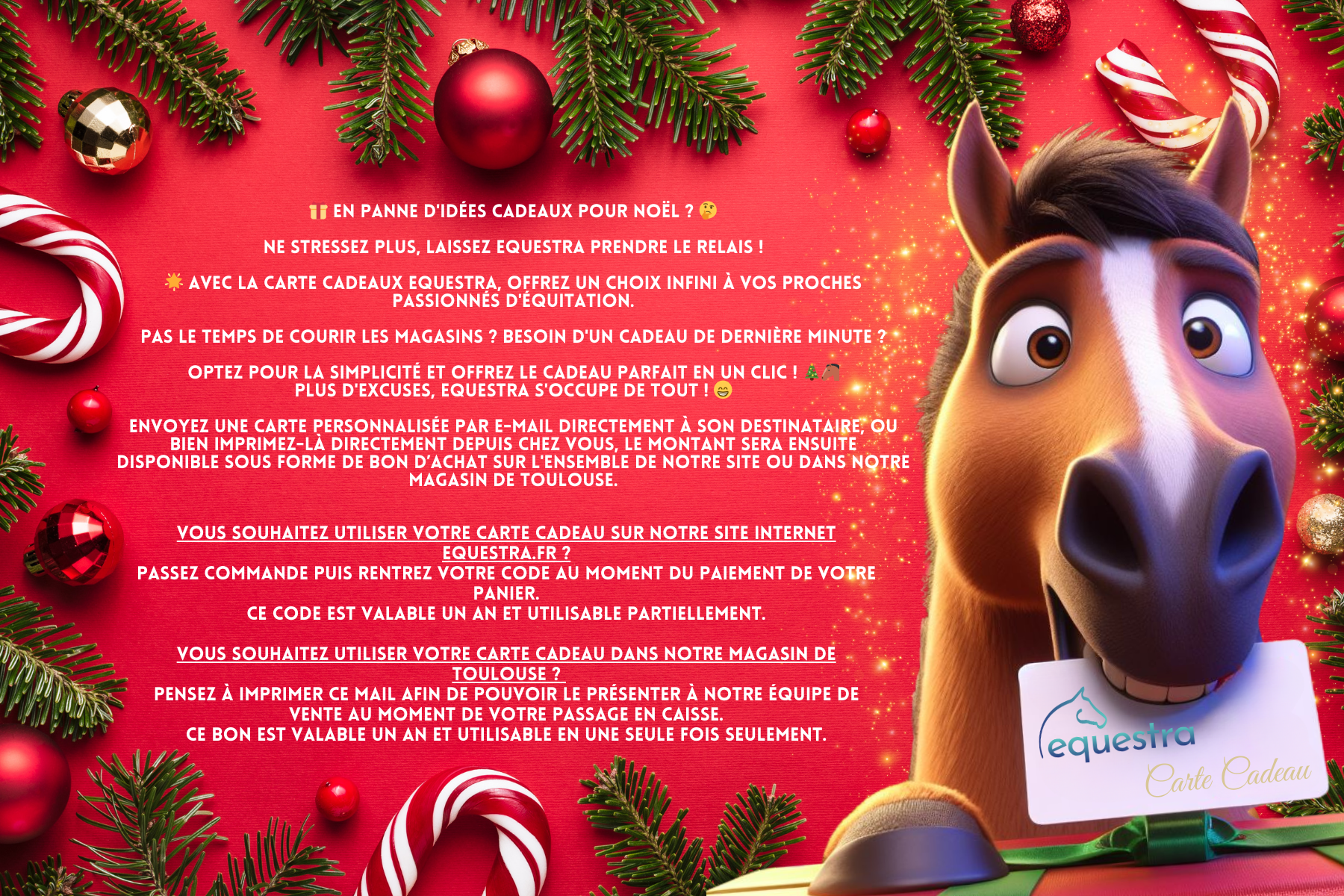 Carte cadeau Equestra